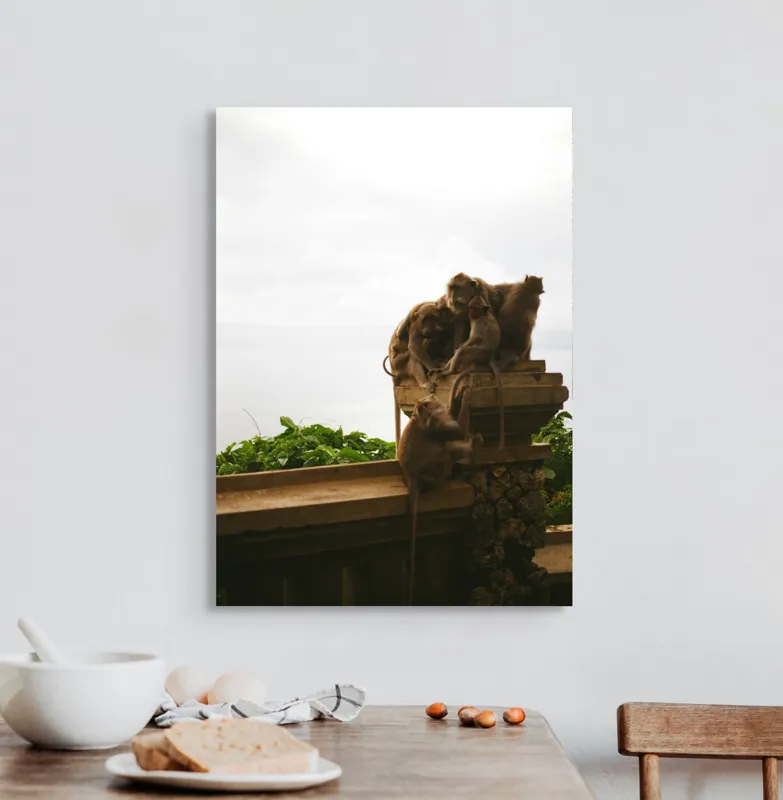 Tablou Canvas, "Maimuțe pe balustradă în natură.", Maimuțe, Parapet, Verdeață, Cer, Relaxare, Familie, Natură, Observare, 50 x 70 cm – poza 3