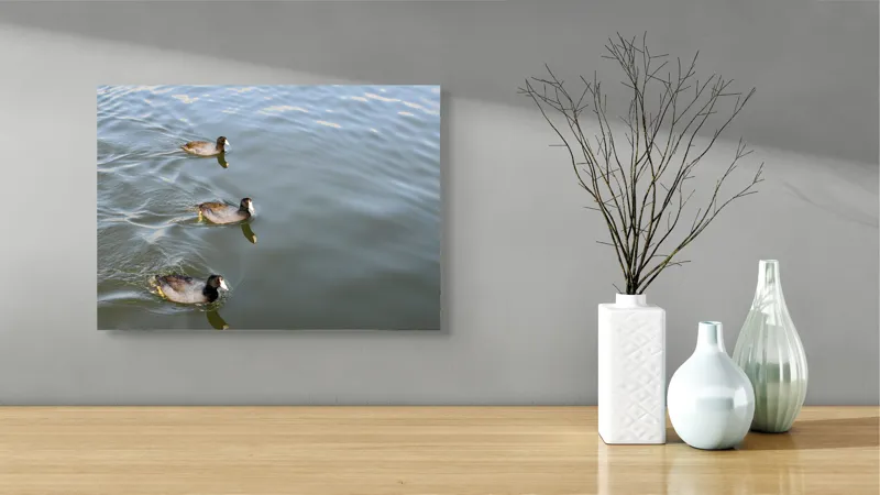 Tablou Canvas, "Rațe plutind pe lac liniștit", 54 x 39 cm – poza 3