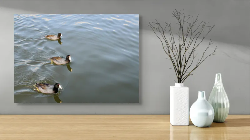 Tablou Canvas, "Rațe plutind pe lac liniștit", 70 x 50 cm – poza 3