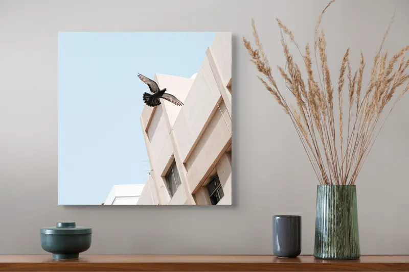 Tablou Canvas, "Porumbel zburând lângă clădire urbană", Pasăre, Zbor, Clădire, Cer, Aripi, Oraș, Minimalism, Linie, Înalțime, Fereastră, 50 x 50 cm – poza 4
