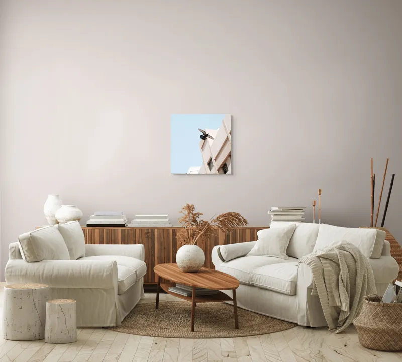 Tablou Canvas, "Porumbel zburând lângă clădire urbană", Pasăre, Zbor, Clădire, Cer, Aripi, Oraș, Minimalism, Linie, Înalțime, Fereastră, 50 x 50 cm – poza 7