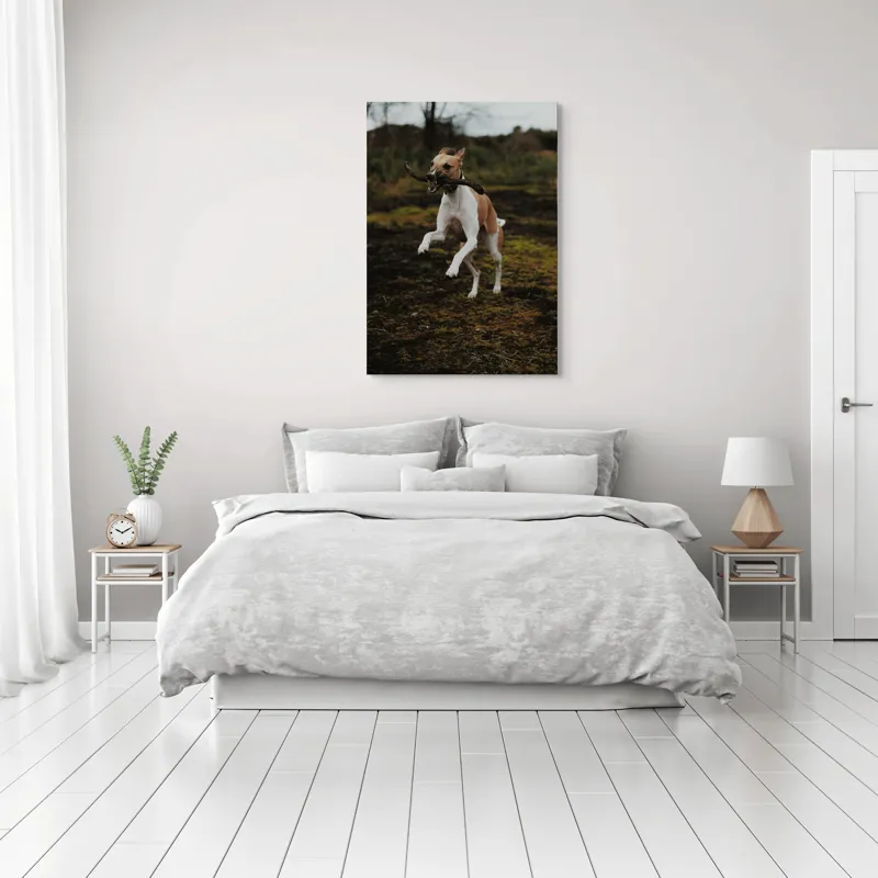 Tablou Canvas, "Câinele jucăuș sare în natură", Câine, Bucurie, Sărituri, Natură, Băț, Energie, Verdeață, Exterior, 70 x 100 cm – poza 3