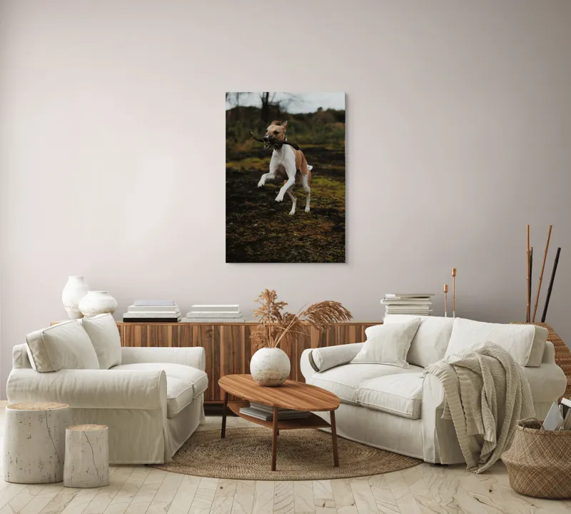 Tablou Canvas, "Câinele jucăuș sare în natură", Câine, Bucurie, Sărituri, Natură, Băț, Energie, Verdeață, Exterior, 70 x 100 cm – poza 4