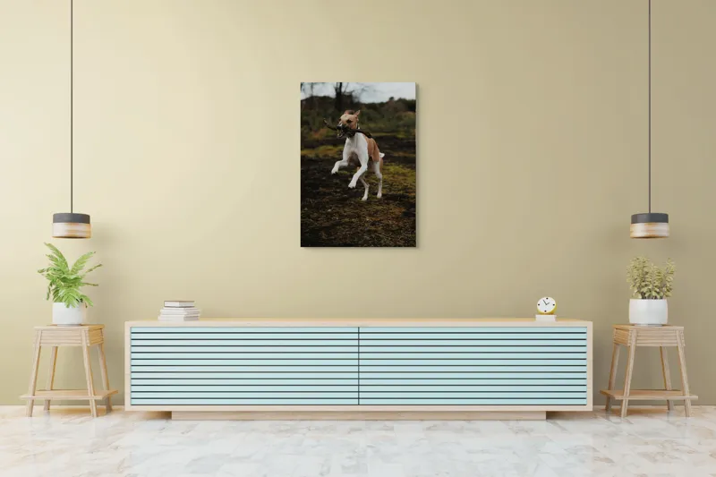 Tablou Canvas, "Câinele jucăuș sare în natură", Câine, Bucurie, Sărituri, Natură, Băț, Energie, Verdeață, Exterior, 70 x 100 cm – poza 5