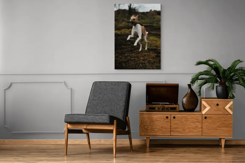 Tablou Canvas, "Câinele jucăuș sare în natură", Câine, Bucurie, Sărituri, Natură, Băț, Energie, Verdeață, Exterior, 70 x 100 cm – poza 6