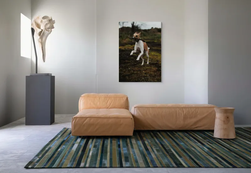 Tablou Canvas, "Câinele jucăuș sare în natură", Câine, Bucurie, Sărituri, Natură, Băț, Energie, Verdeață, Exterior, 70 x 100 cm – poza 7