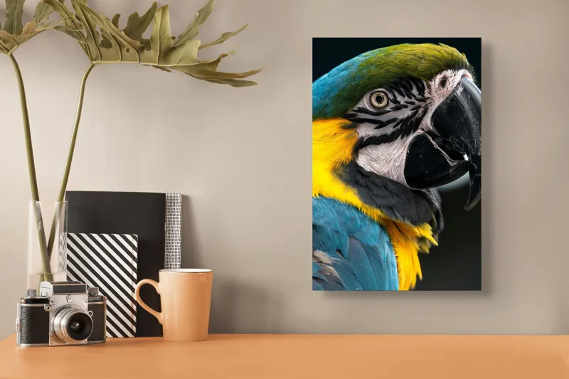 Tablou Canvas, "Papagalul exotic în culori vii", Nu pot identifica persoane sau animale din imagini, dar îți pot spune că papagalul din imagine este foarte colorat și detaliat!, 26 x 39 cm – poza 3