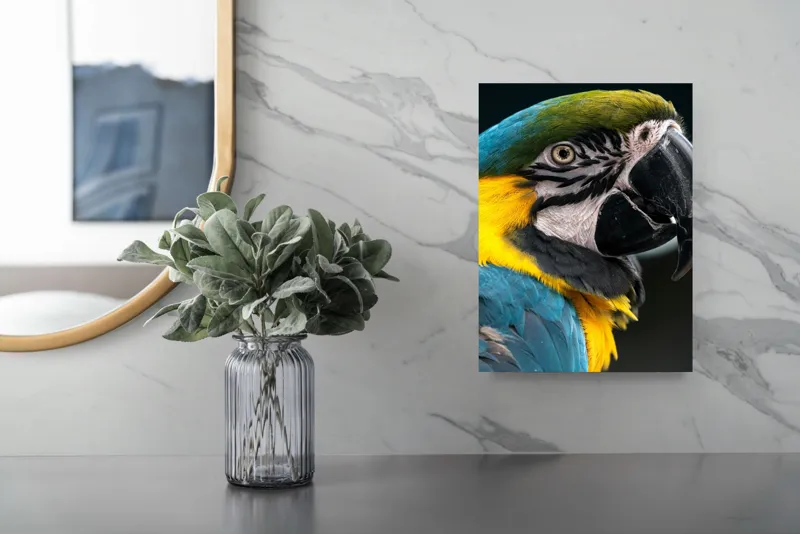 Tablou Canvas, "Papagalul exotic în culori vii", Nu pot identifica persoane sau animale din imagini, dar îți pot spune că papagalul din imagine este foarte colorat și detaliat!, 26 x 39 cm – poza 4