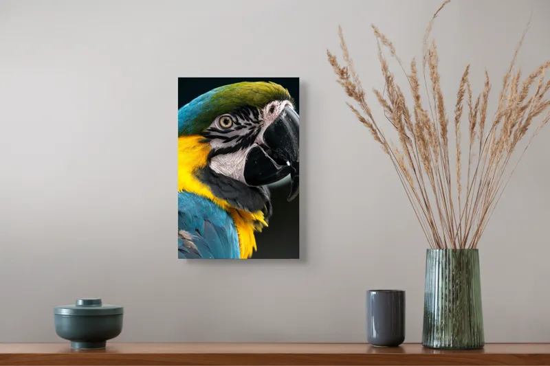Tablou Canvas, "Papagalul exotic în culori vii", Nu pot identifica persoane sau animale din imagini, dar îți pot spune că papagalul din imagine este foarte colorat și detaliat!, 26 x 39 cm – poza 5