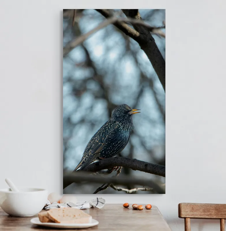 Tablou Canvas, "Cântul mierlei în pădurea tăcută", Penițe, Gene, Ramură, Cântec, Păsărele, Creangă, Lumină, Înalt, Natură, Albastru, 50 x 90 cm – poza 3