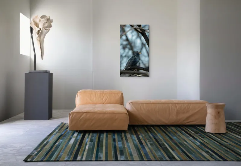 Tablou Canvas, "Cântul mierlei în pădurea tăcută", Penițe, Gene, Ramură, Cântec, Păsărele, Creangă, Lumină, Înalt, Natură, Albastru, 50 x 90 cm – poza 5