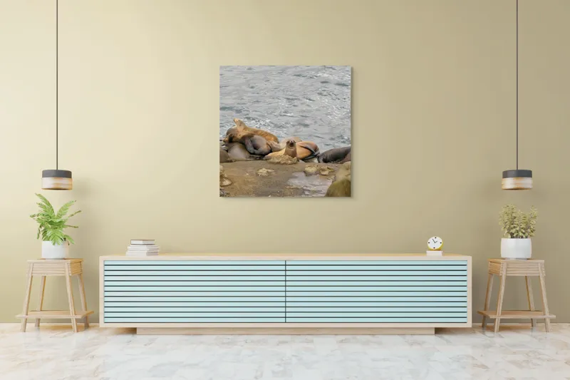 Tablou Canvas, "Leii de mare la odihnă pe stânci", 100 x 100 cm – poza 5