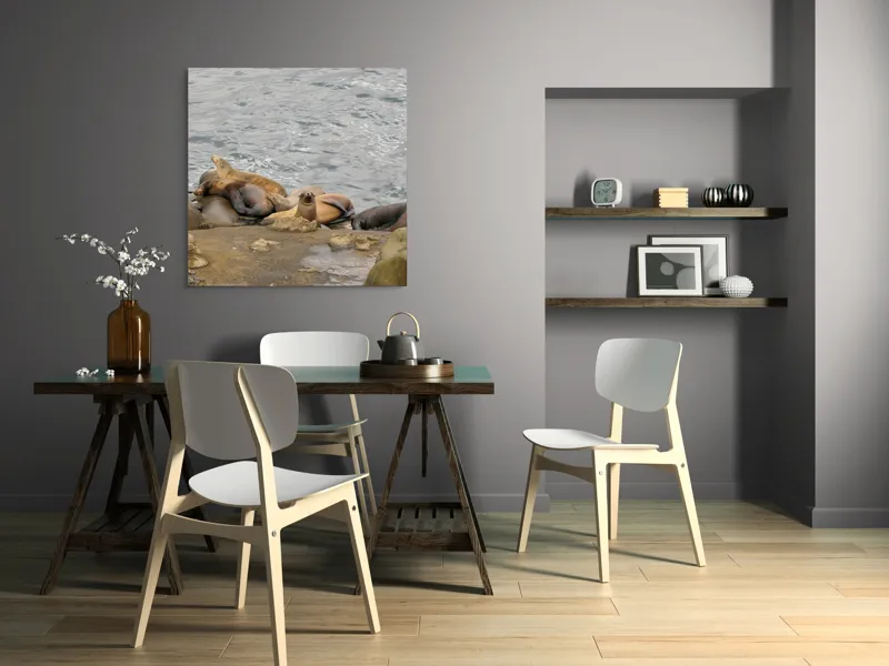 Tablou Canvas, "Leii de mare la odihnă pe stânci", 100 x 100 cm – poza 6