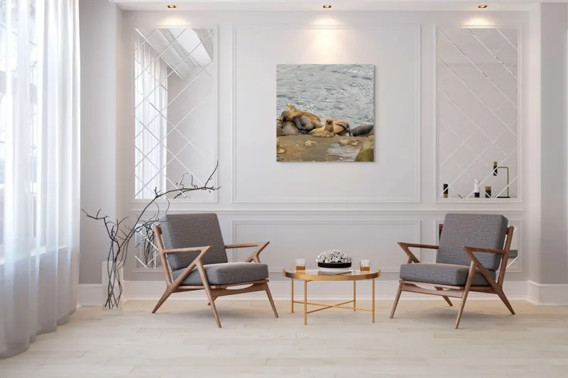 Tablou Canvas, "Leii de mare la odihnă pe stânci", 100 x 100 cm – poza 7