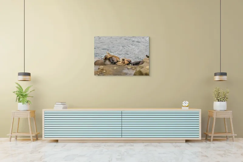 Tablou Canvas, "Leii de mare la odihnă pe stânci", 100 x 70 cm – poza 4