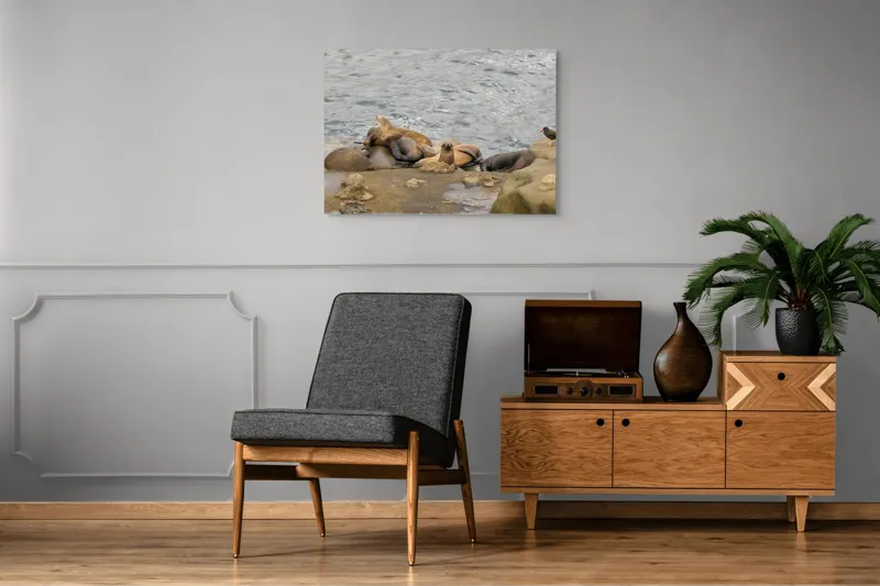 Tablou Canvas, "Leii de mare la odihnă pe stânci", 100 x 70 cm – poza 8
