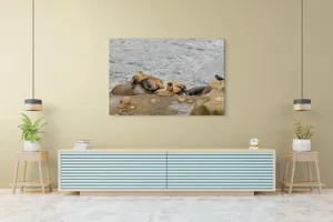 Tablou Canvas, "Leii de mare la odihnă pe stânci", 150 x 100 cm – poza 6