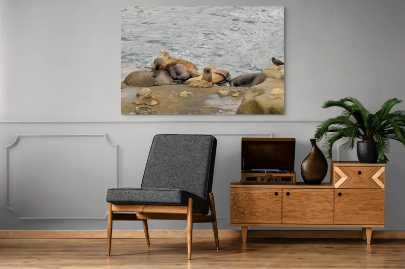 Tablou Canvas, "Leii de mare la odihnă pe stânci", 150 x 100 cm – poza 8