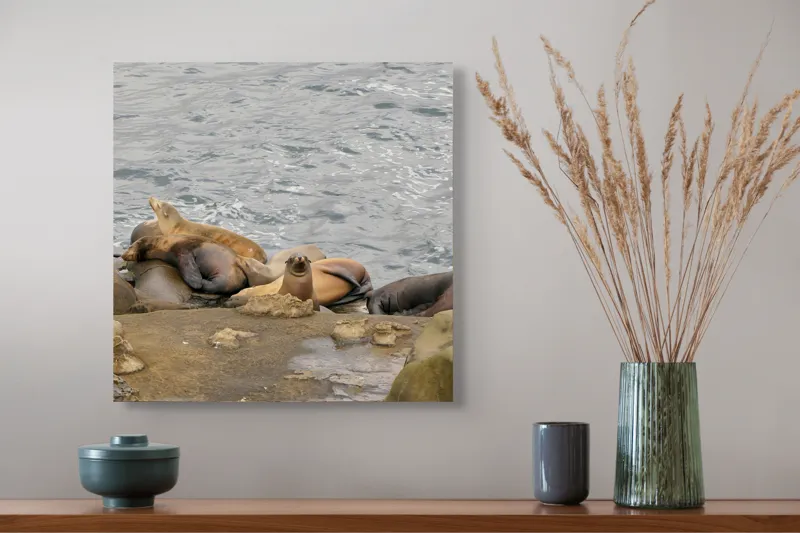 Tablou Canvas, "Leii de mare la odihnă pe stânci", 50 x 50 cm – poza 4