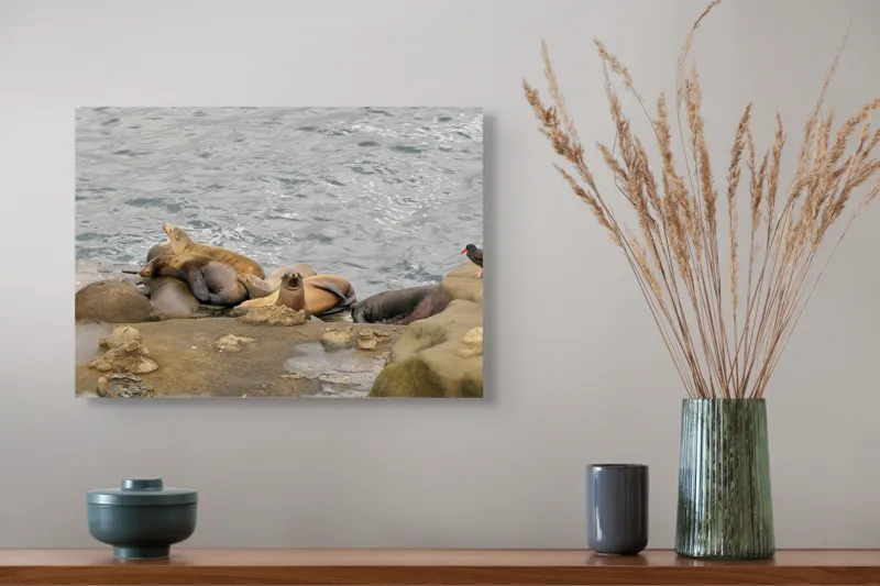Tablou Canvas, "Leii de mare la odihnă pe stânci", 54 x 39 cm – poza 4