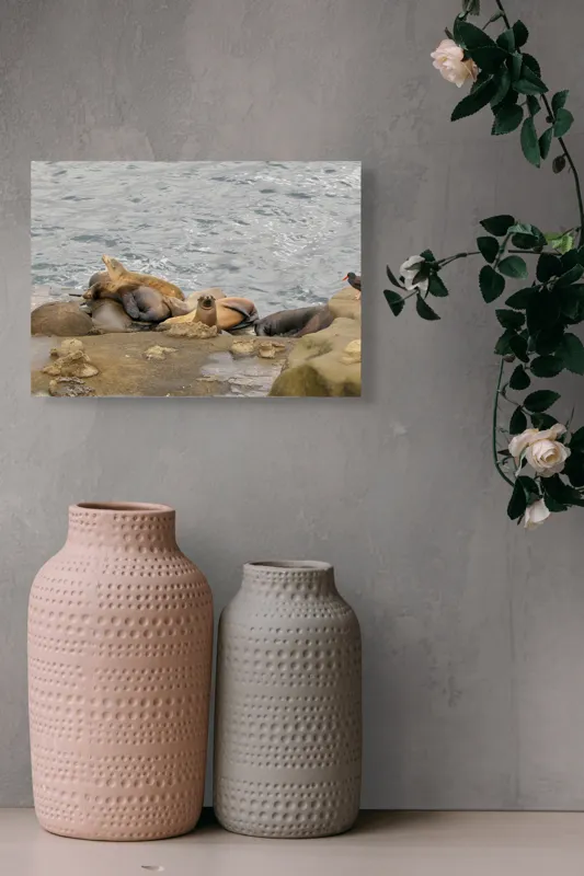 Tablou Canvas, "Leii de mare la odihnă pe stânci", 54 x 39 cm – poza 8