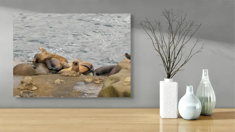 Tablou Canvas, "Leii de mare la odihnă pe stânci", 70 x 50 cm – poza 3