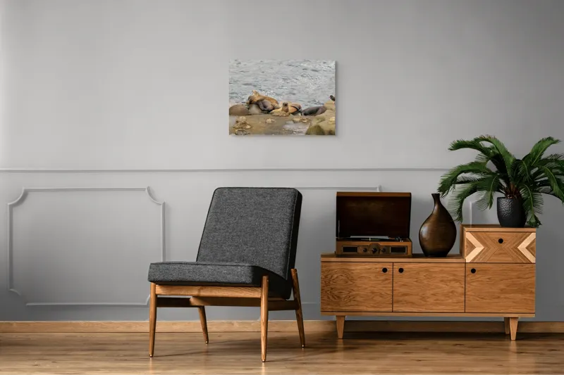 Tablou Canvas, "Leii de mare la odihnă pe stânci", 70 x 50 cm – poza 4