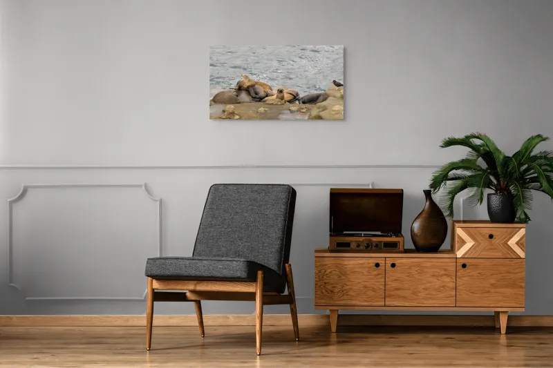 Tablou Canvas, "Leii de mare la odihnă pe stânci", 90 x 50 cm – poza 6