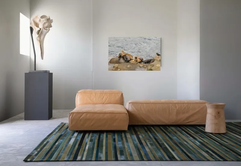 Tablou Canvas, "Leii de mare la odihnă pe stânci", 90 x 50 cm – poza 8