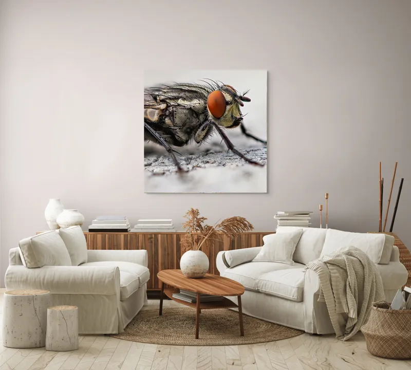 Tablou Canvas, "Musca în detaliu uimitor macro", Ochi, Aripi, Picioare, Antene, Textură, Detalii, Păr, Fundal, Detaliu., 100 x 100 cm – poza 3