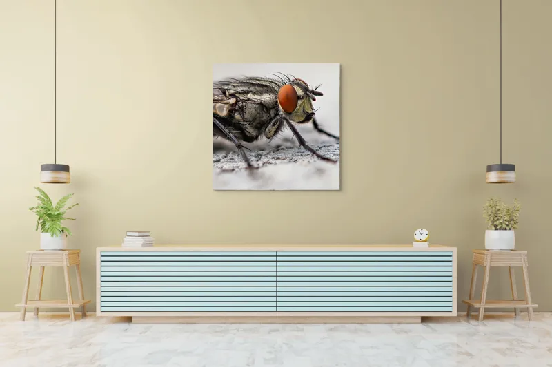 Tablou Canvas, "Musca în detaliu uimitor macro", Ochi, Aripi, Picioare, Antene, Textură, Detalii, Păr, Fundal, Detaliu., 100 x 100 cm – poza 5