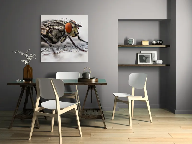 Tablou Canvas, "Musca în detaliu uimitor macro", Ochi, Aripi, Picioare, Antene, Textură, Detalii, Păr, Fundal, Detaliu., 100 x 100 cm – poza 6