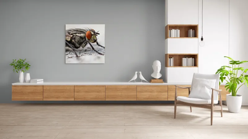 Tablou Canvas, "Musca în detaliu uimitor macro", Ochi, Aripi, Picioare, Antene, Textură, Detalii, Păr, Fundal, Detaliu., 100 x 100 cm – poza 8