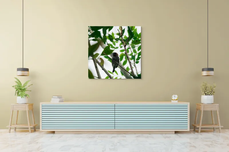 Tablou Canvas, "Păsăre cântătoare printre frunze verzi", Pasăre, Creangă, Frunze, Verde, Natură, Contrast, Pene, Observare, Lumină, Copac, Liniște, Camuflaj., 100 x 100 cm – poza 5