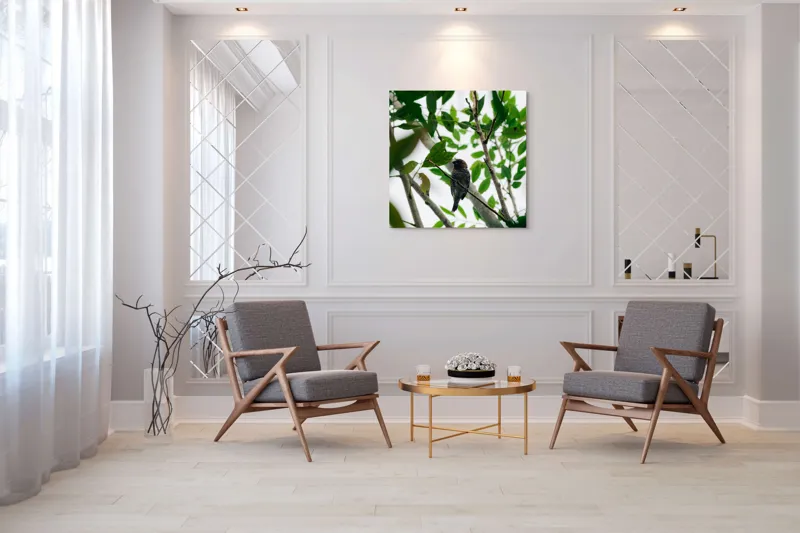 Tablou Canvas, "Păsăre cântătoare printre frunze verzi", Pasăre, Creangă, Frunze, Verde, Natură, Contrast, Pene, Observare, Lumină, Copac, Liniște, Camuflaj., 100 x 100 cm – poza 7
