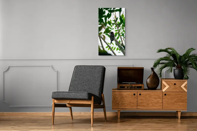 Tablou Canvas, "Păsăre cântătoare printre frunze verzi", Pasăre, Creangă, Frunze, Verde, Natură, Contrast, Pene, Observare, Lumină, Copac, Liniște, Camuflaj., 50 x 90 cm – poza 8