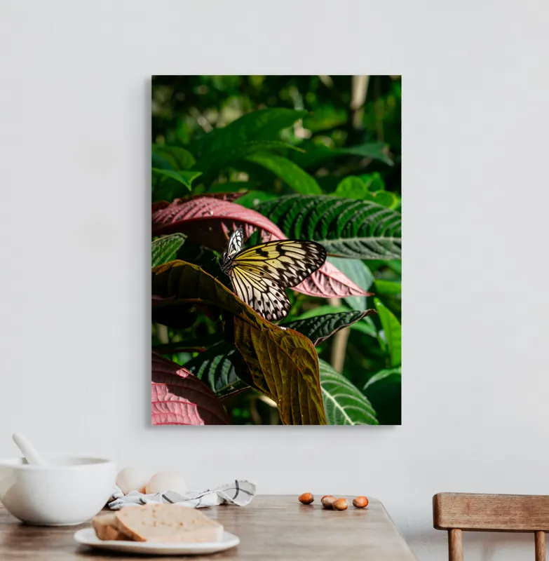 Tablou Canvas, "Fluture delicat printre frunze verzi", Fluture, Frunze, Natură, Culoare, Aripi, Delicatețe, Verde, Luminozitate, 50 x 70 cm – poza 3