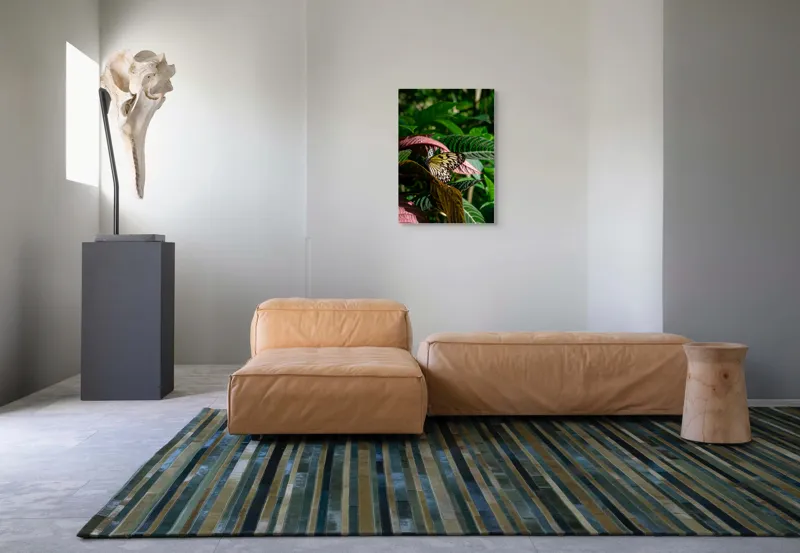 Tablou Canvas, "Fluture delicat printre frunze verzi", Fluture, Frunze, Natură, Culoare, Aripi, Delicatețe, Verde, Luminozitate, 50 x 70 cm – poza 7