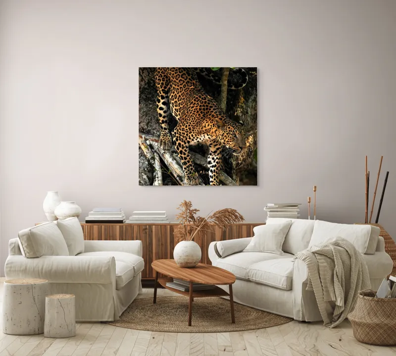Tablou Canvas, "Leopard înfruntând umbra copacului străvechi", 100 x 100 cm – poza 3