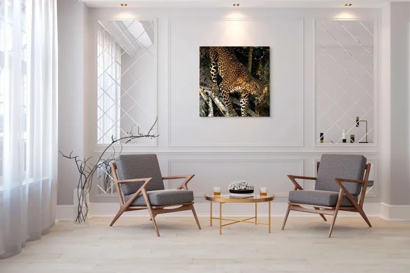 Tablou Canvas, "Leopard înfruntând umbra copacului străvechi", 100 x 100 cm – poza 7