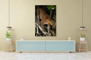 Tablou Canvas, "Leopard înfruntând umbra copacului străvechi", 100 x 150 cm – poza 4