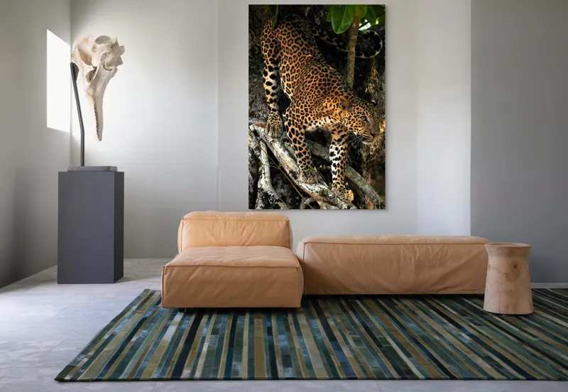 Tablou Canvas, "Leopard înfruntând umbra copacului străvechi", 100 x 150 cm – poza 7