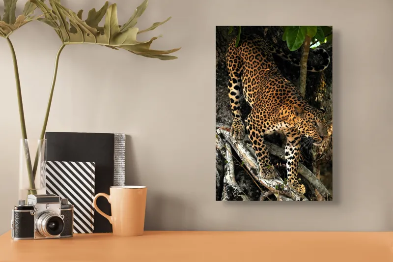 Tablou Canvas, "Leopard înfruntând umbra copacului străvechi", 26 x 39 cm – poza 3