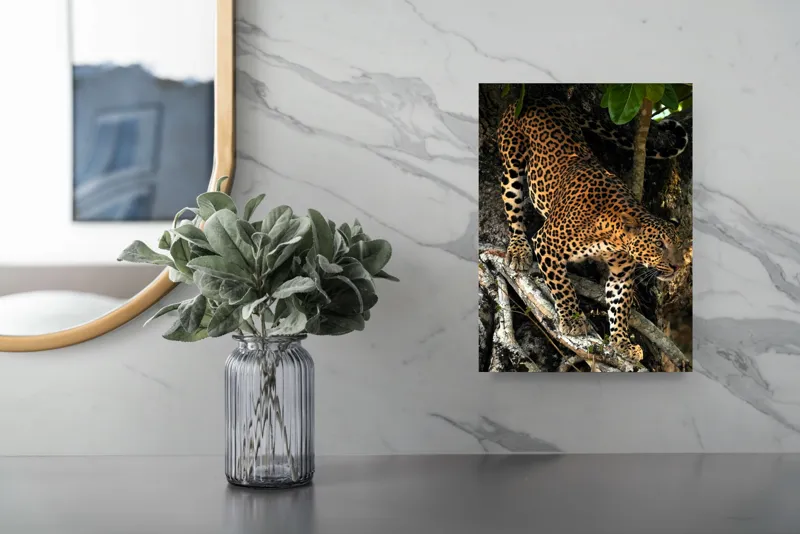 Tablou Canvas, "Leopard înfruntând umbra copacului străvechi", 26 x 39 cm – poza 4
