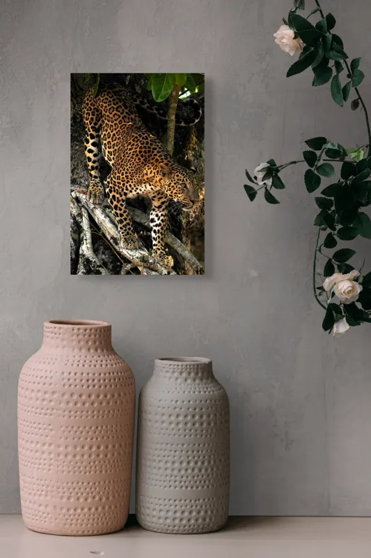Tablou Canvas, "Leopard înfruntând umbra copacului străvechi", 26 x 39 cm – poza 6