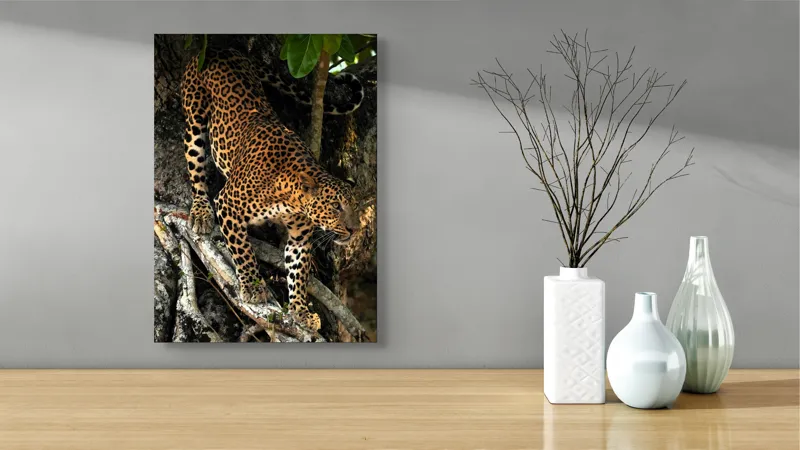 Tablou Canvas, "Leopard înfruntând umbra copacului străvechi", 39 x 54 cm – poza 4