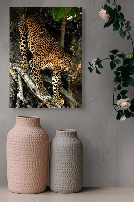 Tablou Canvas, "Leopard înfruntând umbra copacului străvechi", 39 x 54 cm – poza 6