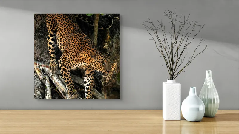 Tablou Canvas, "Leopard înfruntând umbra copacului străvechi", 50 x 50 cm – poza 3