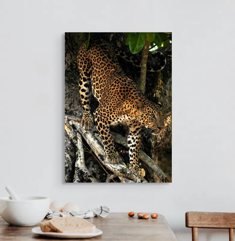 Tablou Canvas, "Leopard înfruntând umbra copacului străvechi", 50 x 70 cm – poza 3