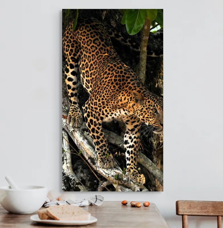 Tablou Canvas, "Leopard înfruntând umbra copacului străvechi", 50 x 90 cm – poza 3